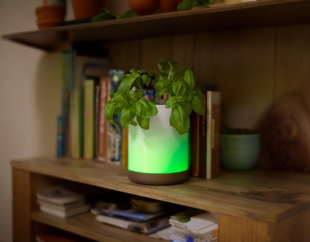 Effortless Plant Care 